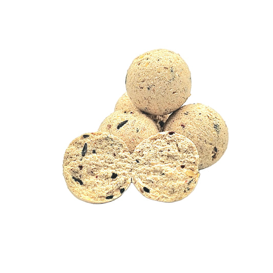 🎣 ProLine Boilies Session Range